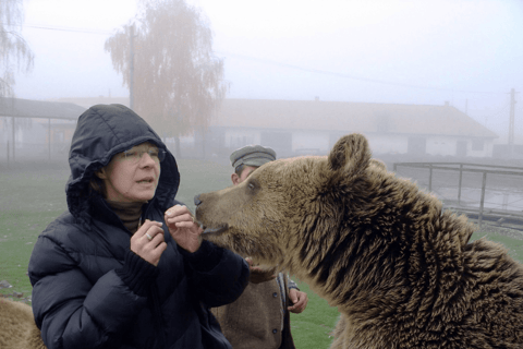 Brasov: Libearty Bear Sanctuary Guided Tour with Transfers