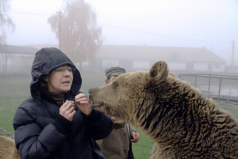 Brasov: Libearty BerenreservaatBrasov: Libearty berenopvang rondleiding met transfers