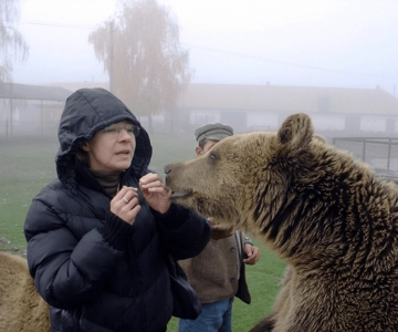 Brasov: Libearty Bear Sanctuary