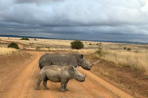 Nairobi: Visita al Parque Nacional, elefante bebé y centro de jirafas