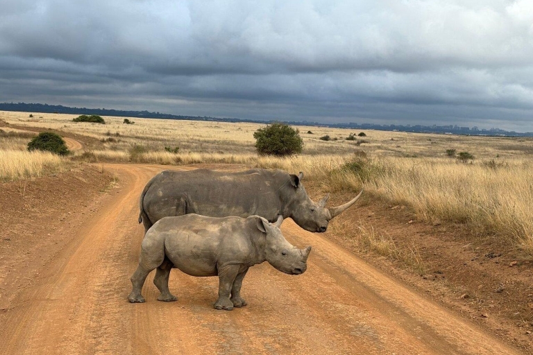 Nairobi: Visita al Parque Nacional, elefante bebé y centro de jirafas