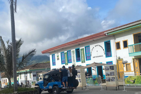 Salento: Cocora Valley, Catch Trout for Lunch & Play Tejo