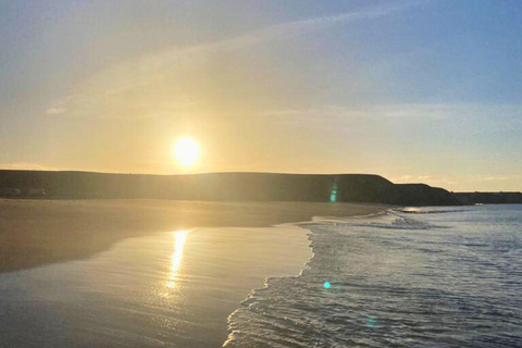 Excursion en yacht privé avec barbecue gastronomique et coucher de soleil sur les plages de PapagayoExcursion en yacht privé avec barbecue gastronomique et coucher de soleil sur 