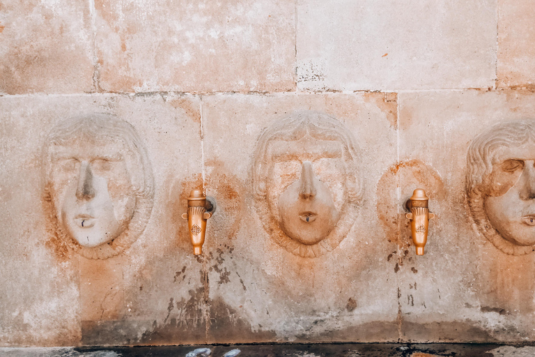 Barcelona: Introduction to the Gothic Quarter Walking Tour Private Tour (Max 20 Adults)