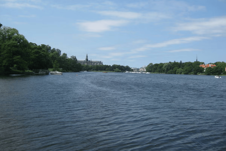 Stockholm: Djurgården and Östermalm Island Tour