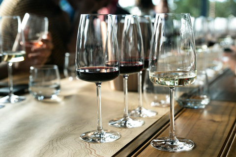 Barcelona: Tarragona Tour & Organic Wine Tasting