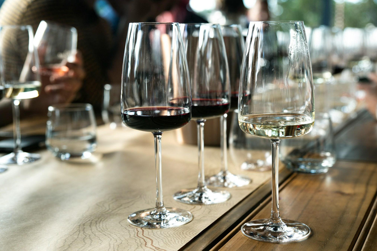 Barcelona: Tarragona Tour & Organic Wine Tasting