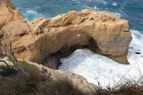 Melbourne: Private Great Ocean Road & 12 Apostles Tours