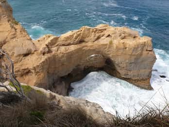 Melbourne: Private Great Ocean Road & 12 Apostles Tours