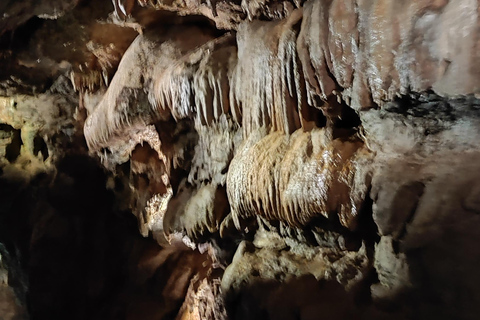 Valencia: Visit by boat to the Caves of Sant JosepVisit by boat to the Caves of Sant Josep