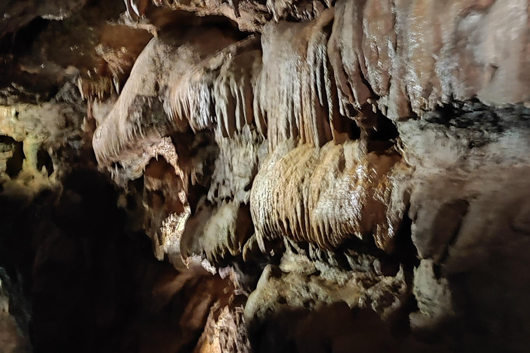 Valencia: Visit by boat to the Caves of Sant JosepVisit by boat to the Caves of Sant Josep