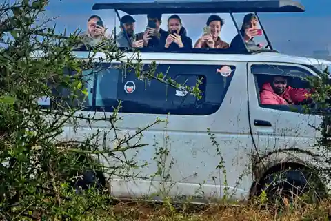 Nairobi: Visita guiada de 5 horas ao Parque Nacional de Nairobi
