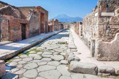 Vesuvius &amp; Pompeii Tour: Stap in de oude geschiedenis &amp; natuur