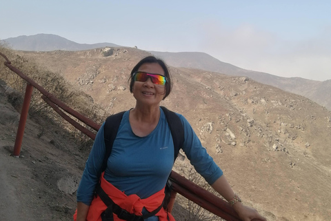 Hiking Lomas de Lachay in Lima