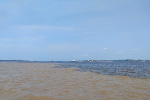 Safari Amazonas® Manaus: Excursión de un día por el río Amazonas