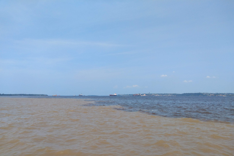 Amazon Safari® Manaus: Day trip on the Amazon River