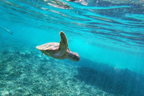 Muscat: Bandar Khairan Boat Trip with Snorkeling and Snacks
