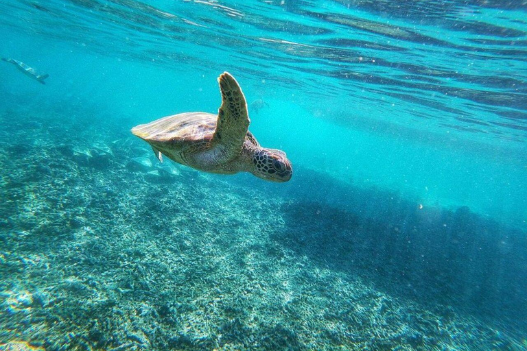 Muscat: Bandar Khairan Boat Trip with Snorkeling and Snacks