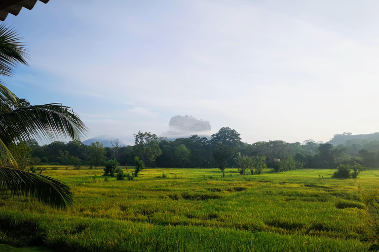 8-tägige Sri Lanka Tour: Geschichte, Natur, Kultur, Tierwelt