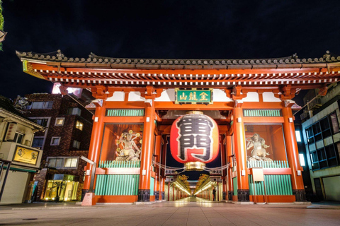 Tokio dagvullende tour Skytree Meiji Shrine met Engelse chauffeur