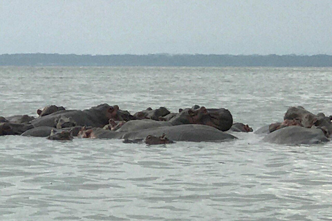 Kisumu: Lake Victoria Fishing Community Tour