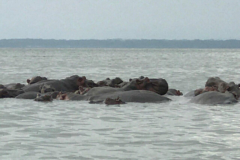 Kisumu: Lake Victoria Fishing Community Tour