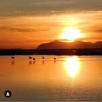 Trapani: Tour delle Saline al tramonto e Via dei Fenicotteri