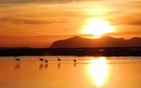 Trapani: Salt Pans Sunset Tour and Flamingo Way