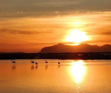 Trapani: Tour delle Saline al tramonto e Via dei Fenicotteri