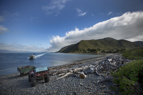 Från Wellington: Kapiti Island Klassisk guidad tur