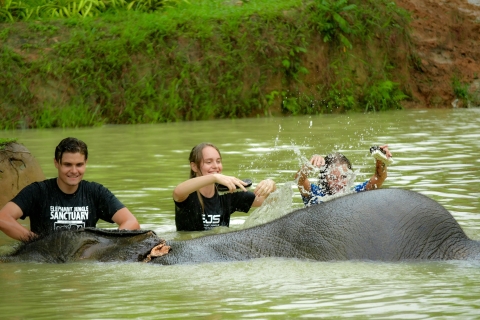 Phuket : Visite d'une demi-journée du sanctuaire de la jungle des éléphants