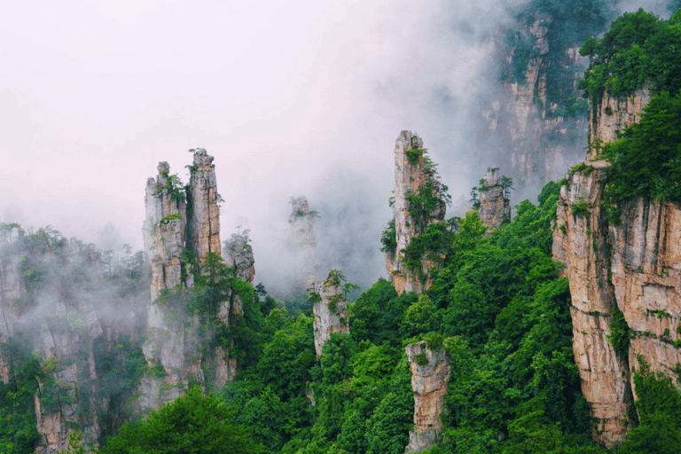 Parco Nazionale delle Foreste di Zhangjiajie: Ingresso con navetta