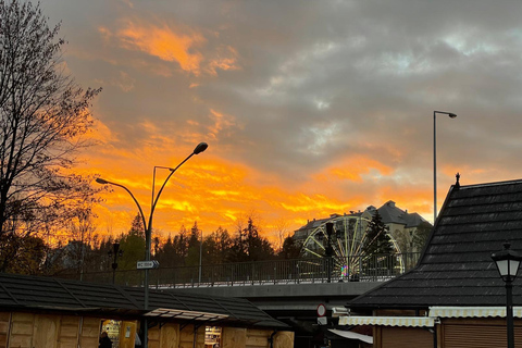 Krakow: Zakopane Buggy, Quad or Snowmobile Tour & Treetop Tour + Buggy for 2 people