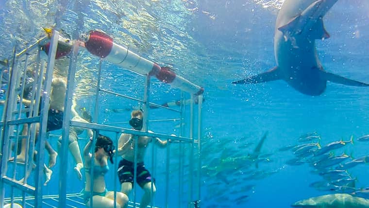 Legjobb programok itt:&amp;lt;br/&amp;gt;Haleiwa