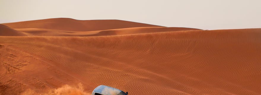 Dubaï : Safari dans le désert, Quad Bike, Sandboarding, Chameaux et BBQ