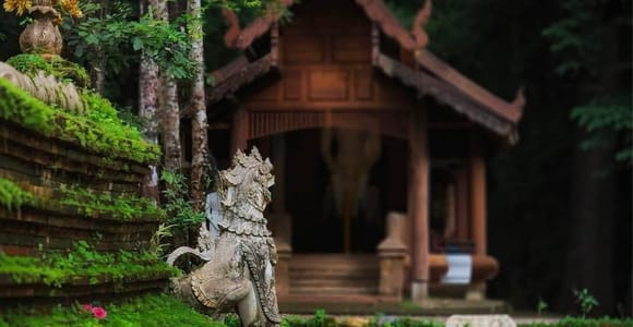 Chiang Mai: Hidden Jungle Temple & Doi Suthep Temple.
