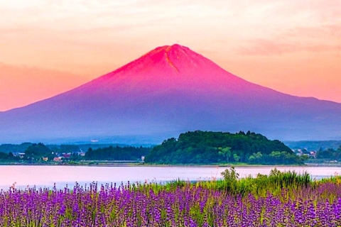Visite privée de 2 jours Tokyo MT Fuji et Hakone avec guide