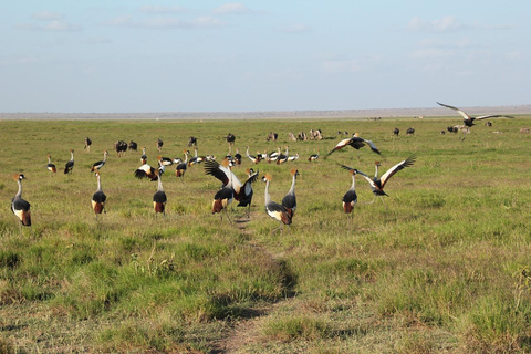 Overnight Group Safari to Amboseli National Park