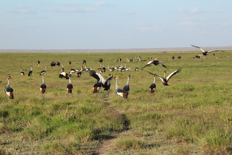 Overnight Group Safari to Amboseli National Park