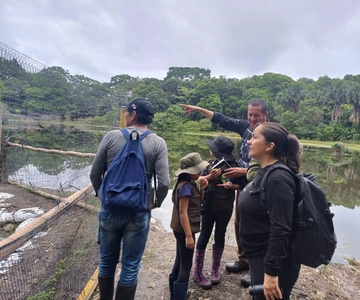 Bird Watching in Acacías Meta