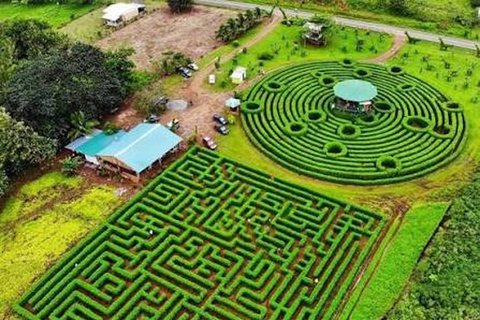 Río Celeste and Katira Labyrinth experience