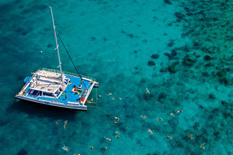 Depuis Miami : Key West et plongée, option prise en chargeAvec transport aller-retour depuis certains points de rendez-vous