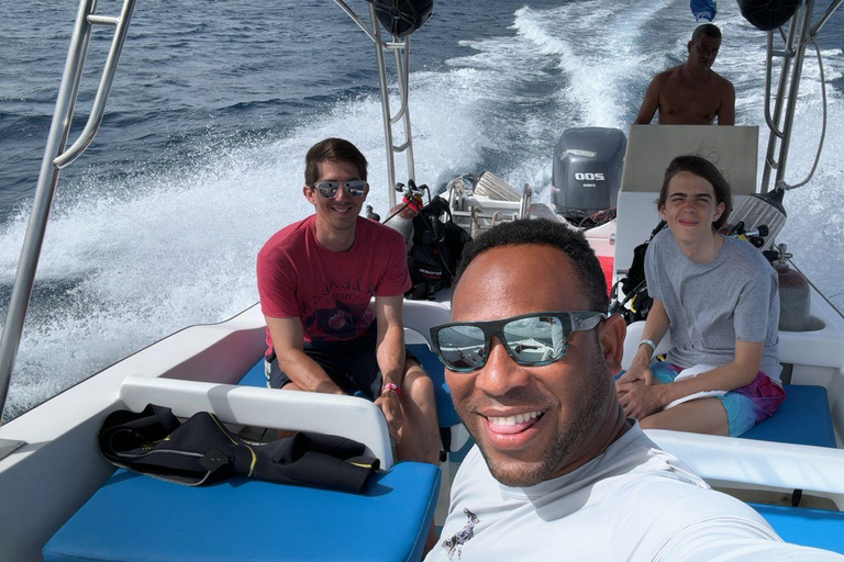 From Punta Cana: Saona Island Private Small Boat Day Trip