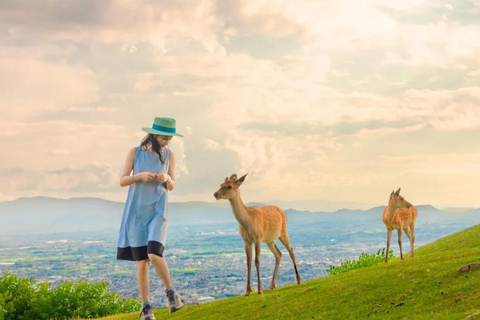 Osaka: Nara Park and Uji Hot Spring Day Trip English Service