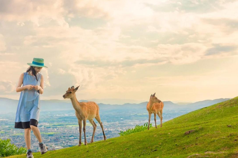 Osaka: Nara Park and Uji Hot Spring Day Trip English Service
