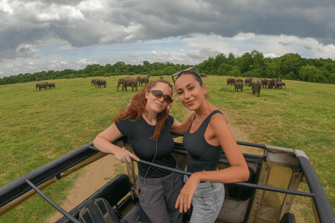 Minneriya: Safari de elefantes no Parque Nacional com serviço de busca no hotel