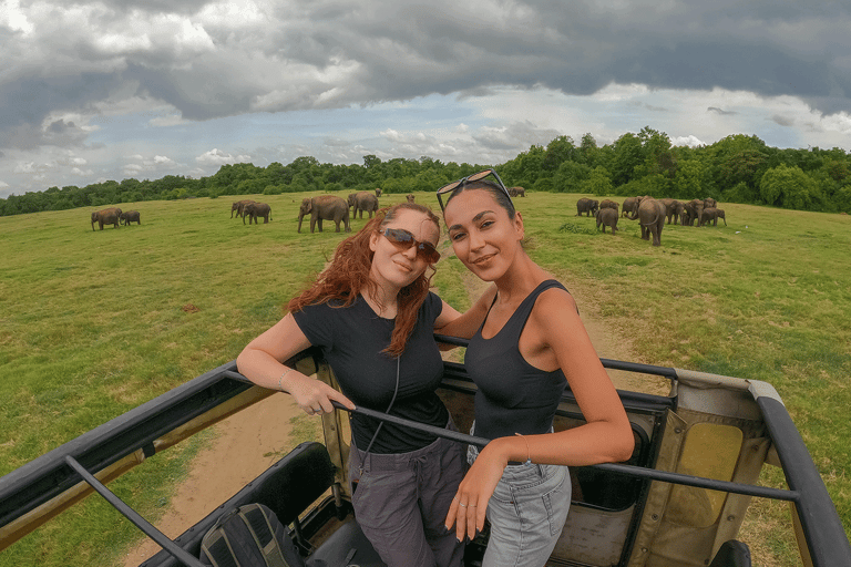 Minneriya: Safari en elefante por el Parque Nacional con servicio de recogida del hotel