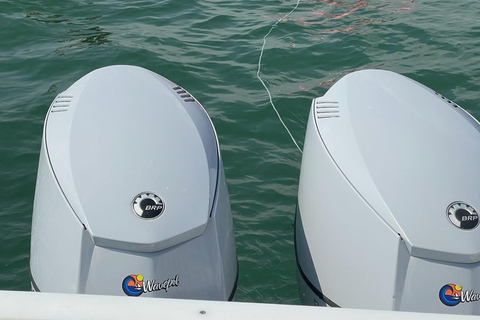Valencia: Catamaran Boat Rental with Captain and Drinks 3 HOURS MIAMI VLC