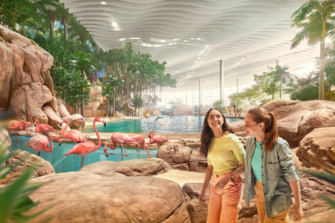 Dubai: Sheikh Zayed-moskee &amp; SeaWorld-toegang met transferDubai: Sheikh Zayed-moskee en SeaWorld, inclusief vervoer