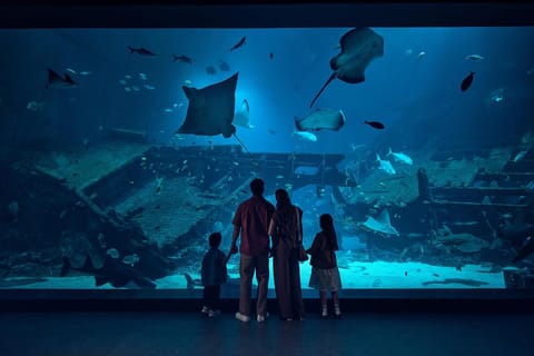 Singapore: Oceanarium Entry Ticket with 1-Way Transfer - Image 2